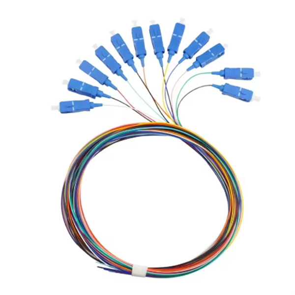 What type of distribution box does DS-PD have 
